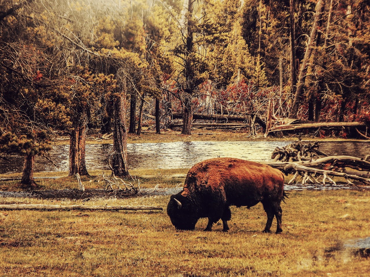 Explore Buffalo Bayou Park in 3 Days